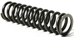 Daikin McQuay 735036937 SPRING