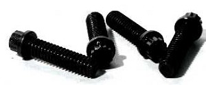 PART #: 735017316 FASTENER .25X1.00 REPLACES 350A173H16 