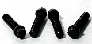 PART #: 735017317 FASTENER .25 X 1.25 REPLACES 350A173H17 